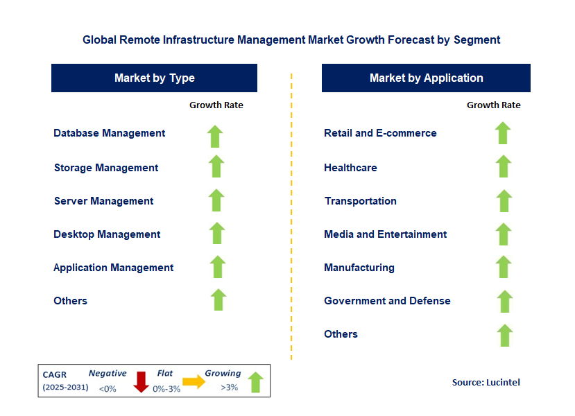Remote Infrastructure Management Market by Segment
